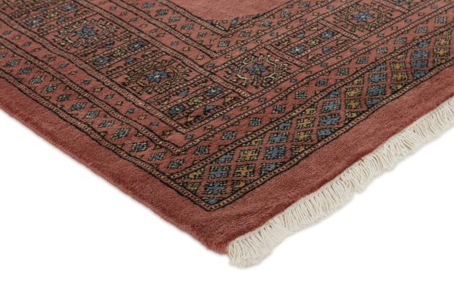 Pakistan Buchara 3ply - 3