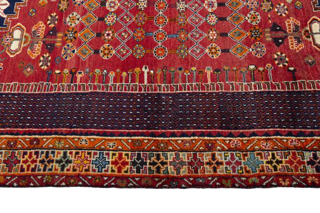 Shiraz - 6