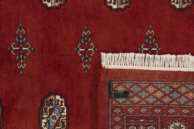 Pakistan Buchara 3ply - 1