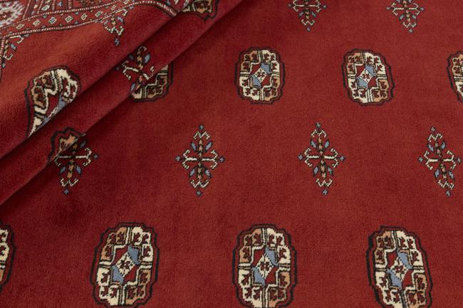 Pakistan Buchara 3ply - 2