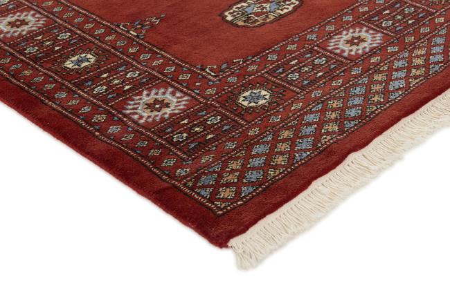 Pakistan Buchara 3ply - 3
