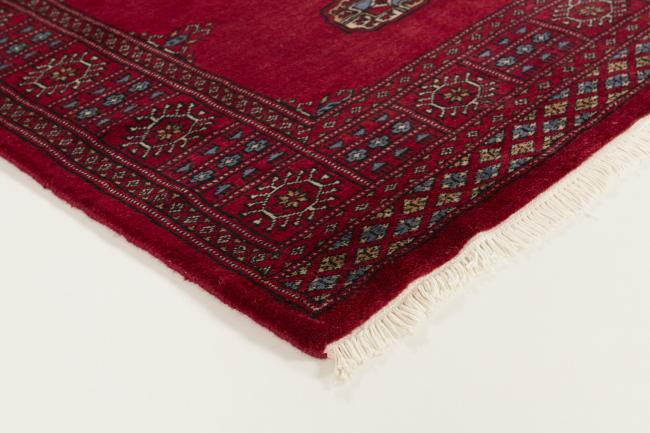 Pakistan Buchara 3ply - 3