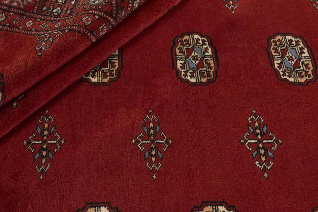Pakistan Buchara 3ply - 2