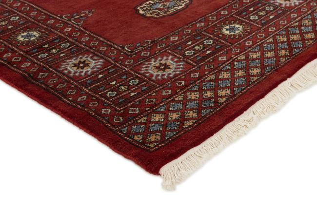 Pakistan Buchara 3ply - 3