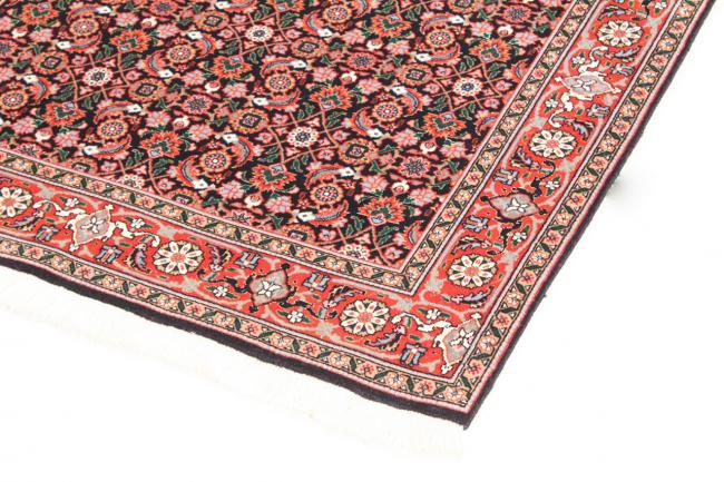 Tabriz 50Raj Mahi - 1