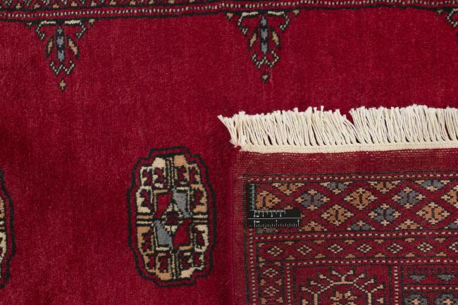 Pakistan Buchara 3ply - 1