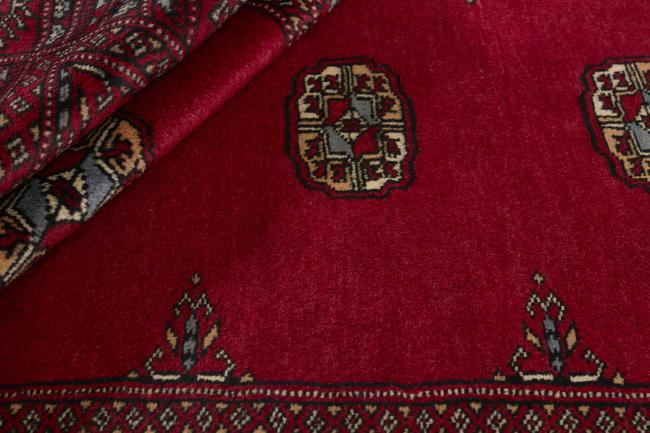 Pakistan Buchara 3ply - 2