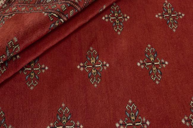 Pakistan Buchara 3ply - 2