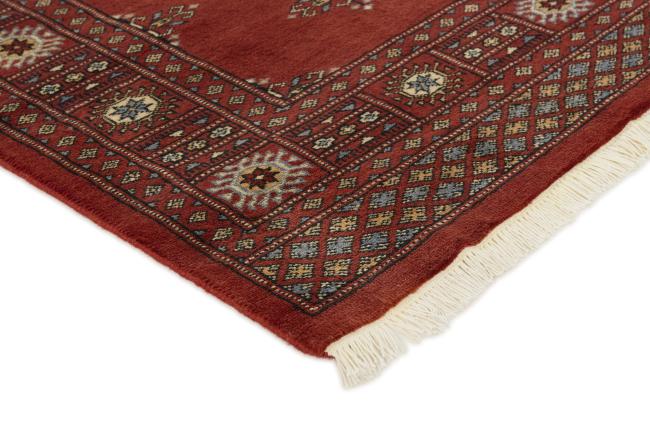 Pakistan Buchara 3ply - 3