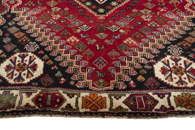 Shiraz - 5