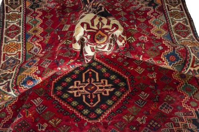 Shiraz - 8