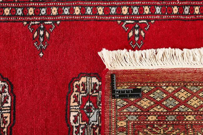 Pakistan Buchara 2ply - 1