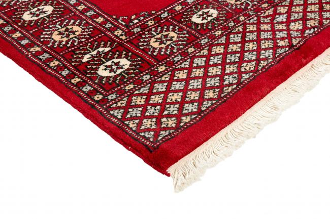 Pakistan Buchara 2ply - 3