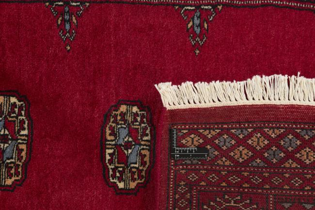 Pakistan Buchara 3ply - 1