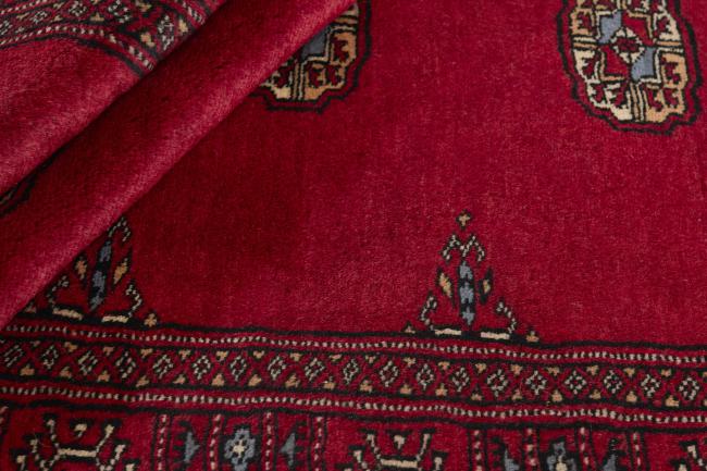 Pakistan Buchara 3ply - 2