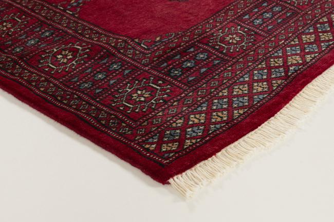 Pakistan Buchara 3ply - 3