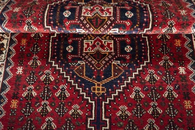 Shiraz - 8