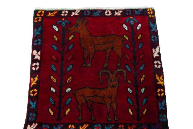 Shiraz - 3