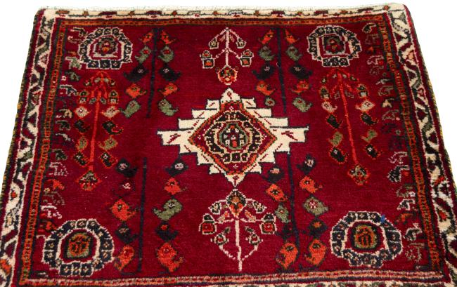 Shiraz - 3