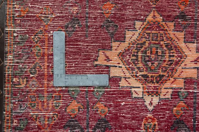 Shiraz - 4