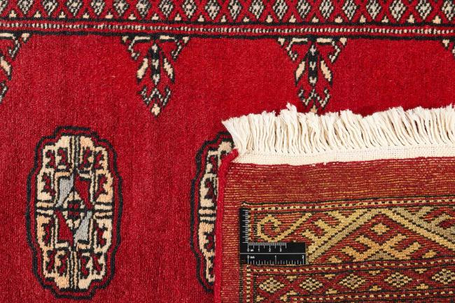 Pakistan Buchara 2ply - 1