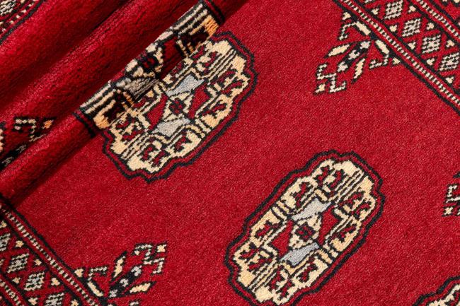 Pakistan Buchara 2ply - 2