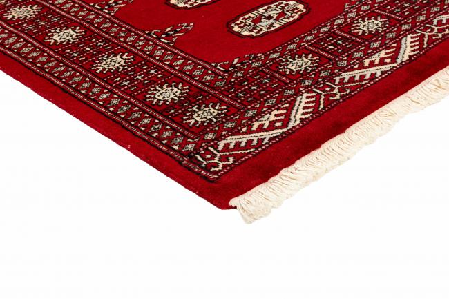 Pakistan Buchara 2ply - 3