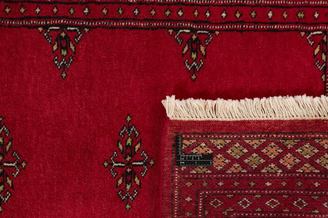 Pakistan Buchara 2ply - 1
