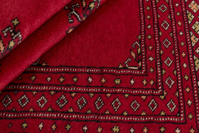 Pakistan Buchara 2ply - 2