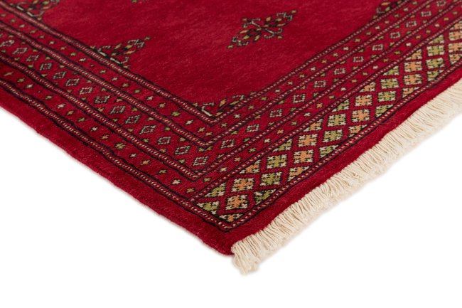 Pakistan Buchara 2ply - 3