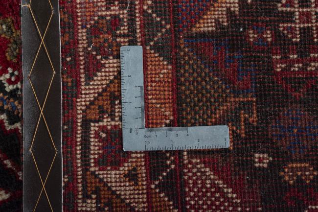 Shiraz - 9