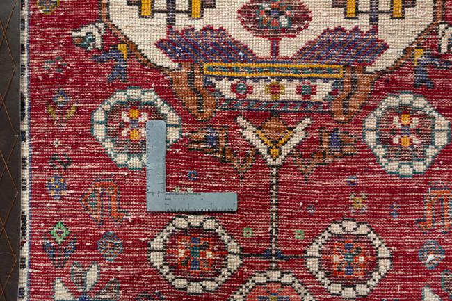 Shiraz - 4