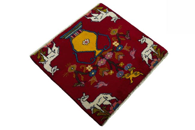 Shiraz - 2