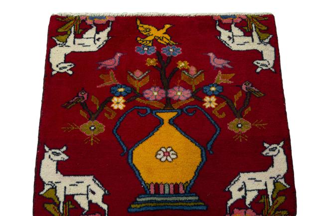 Shiraz - 3