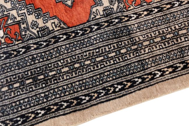 Pakistan Buchara 2ply - 4