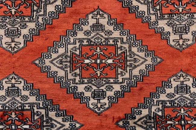 Pakistan Buchara 2ply - 7