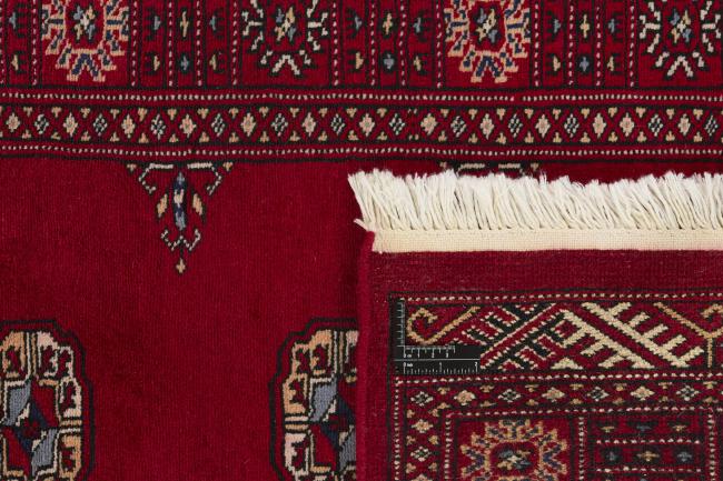 Pakistan Buchara 3ply - 1