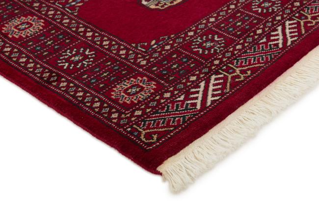 Pakistan Buchara 3ply - 3