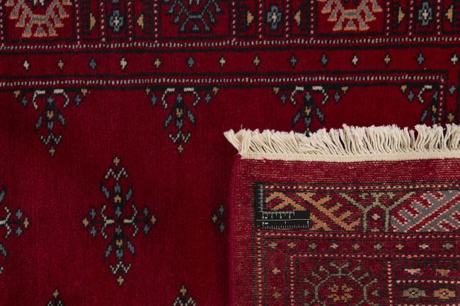 Pakistan Buchara 2ply - 1