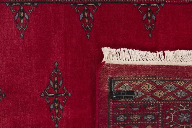 Pakistan Buchara 3ply - 1