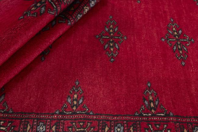 Pakistan Buchara 3ply - 2