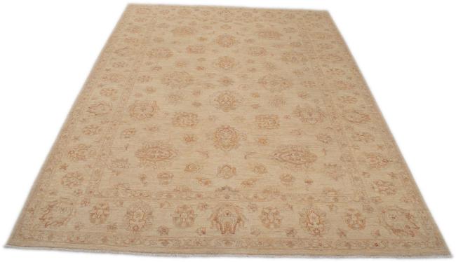 Ziegler Farahan - 3