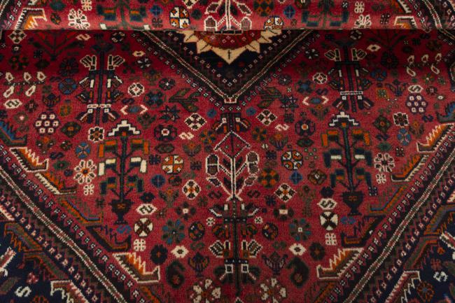 Shiraz - 8