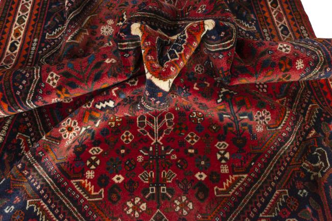 Shiraz - 9