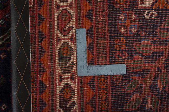 Shiraz - 10