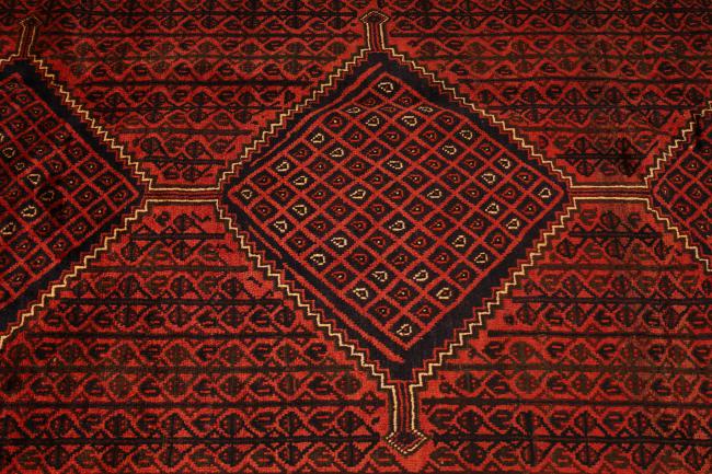 Shiraz - 5
