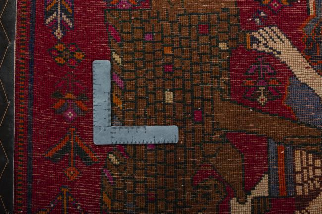 Shiraz - 4