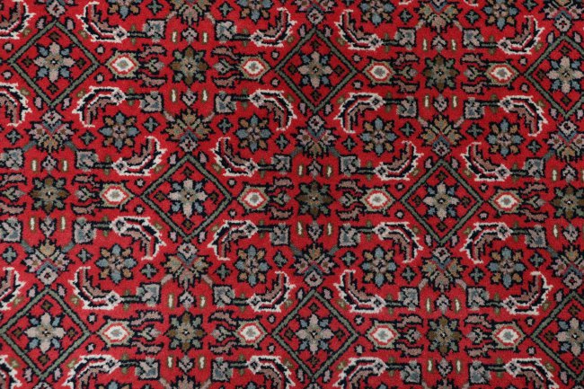 Indo Bidjar - 4