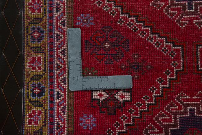 Shiraz - 4