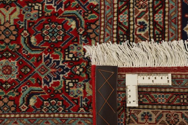 Tabriz 40Raj Mahi - 3